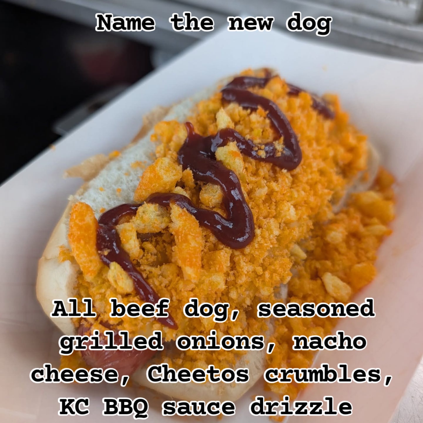 We need a better name. Who wants to help name this delicious dog?